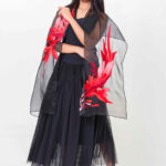 Black & Red Silk Organza Hand-Embroidered Stole